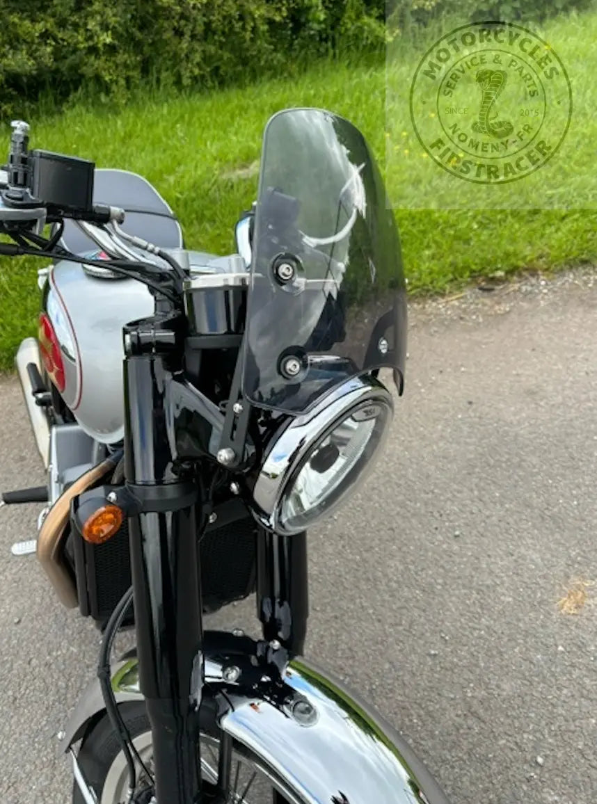 Saute-vent DART – Light Tint – BSA 650 Goldstar Firstracer