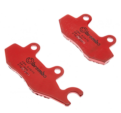 Plaquettes de frein arrière Brembo métal fritté Triumph