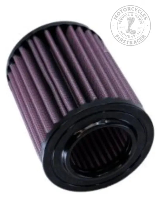 Filtre à air haute performance DNA Royal Enfield Himalayan 450 Firstracer
