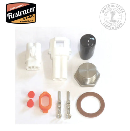 Kit suppression AIS Royal Enfield Classic/Bullet 500 EFI Firstracer