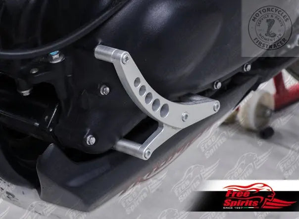 Protection moteur Free Spirits pour Triumph Classic Firstracer