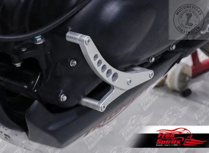 Protection moteur Free Spirits pour Triumph Classic Firstracer