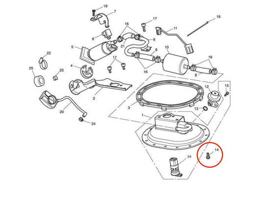 VIS M4x0.7 X 5.0, S / S pompe à carburant x14 - Triumph EFI jusque 2015